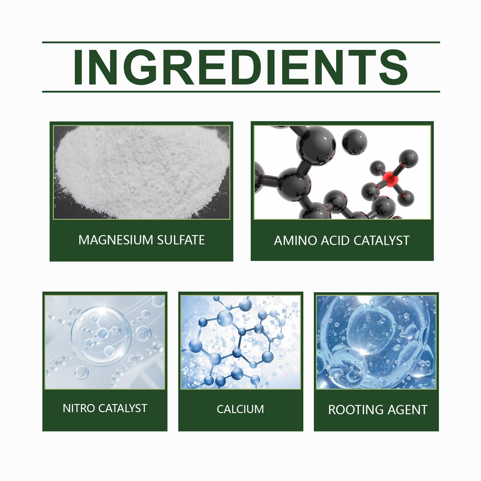 MoonSpry Plant Growth Nutrient Powder Plant Growth Nutrient Supplement Soil Conditioning Plant Nutrient