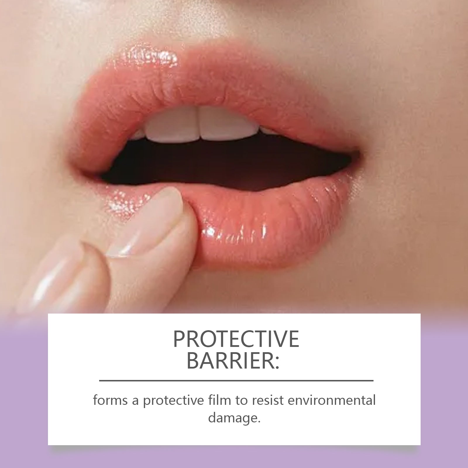 Jojoba Moisturizing Lip Balm