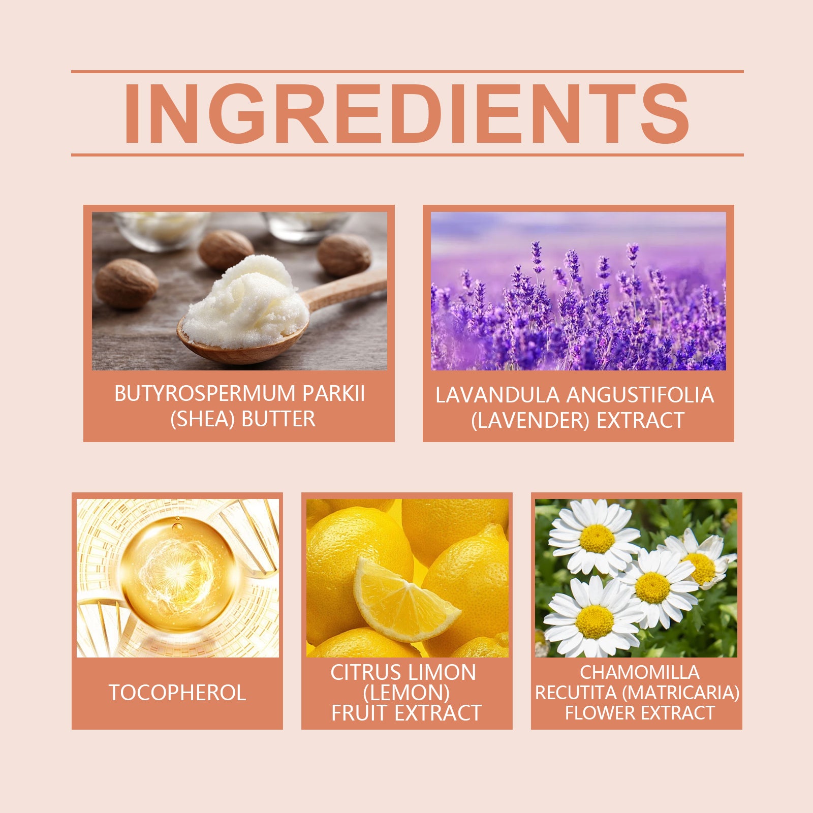 Lavender Chamomile Body Butter